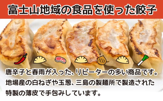 富士山 餃子 ピリ辛 5個入り8パックセット 肉 野菜 冷凍 簡単 調理 惣菜