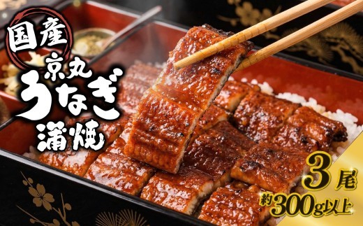 うなぎ 蒲焼 国産 3尾 計約300g以上 静岡 うなぎ処京丸 | 蒲焼き unagi 鰻 ウナギ 国産うなぎ 国産鰻 国産ウナギ かば焼き 鰻蒲焼 うなぎ蒲焼き 冷凍 個包装 小分け ギフト箱 プレ