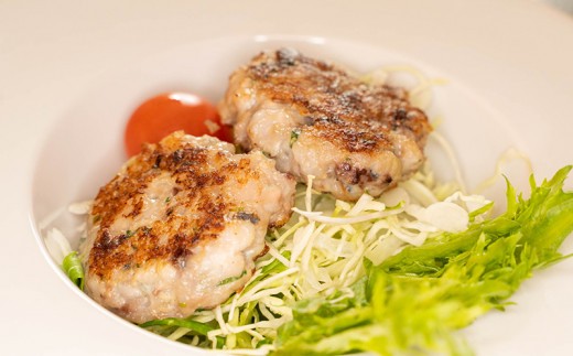 あじ なめろう 50g 10パック セット 食べきり 鯵 魚 国産