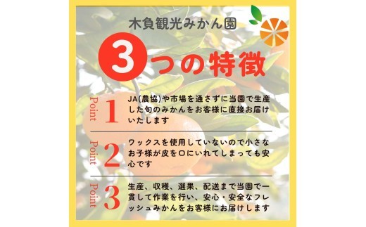 訳あり みかん 黄金柑 3kg 木負観光みかん園 ミカン ゴールデンオレンジ オレンジ 蜜柑 柑橘 フルーツ 旬 果物 国産 産地直送 季節限定 西浦 沼津市 静岡県