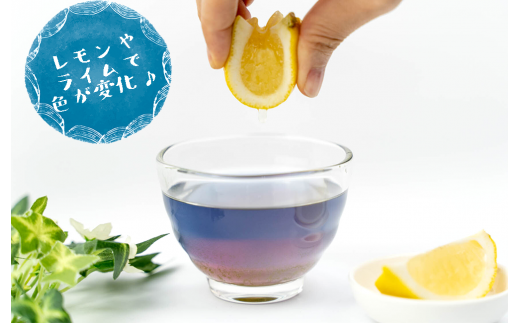 バタフライピーブレンドの青い天然色素のハーブティー 青の静岡茶 お中元 贈答用 ギフト用 母の日 父の日 のし対応10000円以下 1万円以下