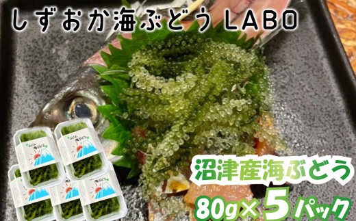 沼津産 ぷちぷち 海ぶどう 80g×5パック 沼津 海藻 海鮮 新鮮 産地直送 産直 美味しい沼津市 静岡
