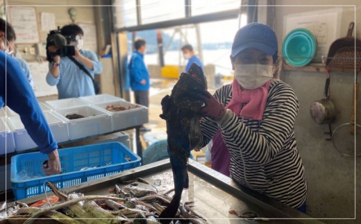 見て食べて楽しむ 深海魚直送便 約2kg 2~3人前 セット 深海魚の宝庫 沼津 戸田 からお届け！