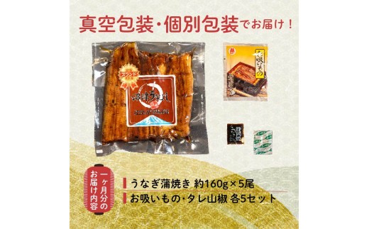 【 12ヵ月定期便 】 うなぎ 鰻 蒲焼 国産 5尾 800g 真空 小分け 丑の日 冷蔵 沼津 うなよし 静岡県
