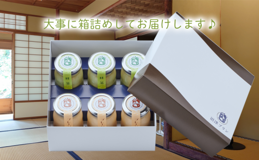 沼津 プリン 6個 セット プレーン × 3個 抹茶 × 3個 贈答用 ギフト用 母の日 父の日