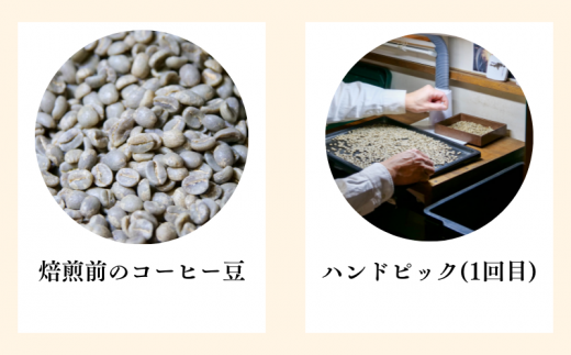 沼津ブランド! 花野子 ブレンド 500g (粉) 珈琲 コーヒー プレゼント ギフト 静岡 沼津 母の日 父の日