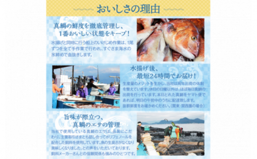 真鯛 煮付け 切り身 4切れ マダイ 鯛 国産 沼津産 湯煎 簡単調理 お手軽 個包装 冷凍 沼津 静岡