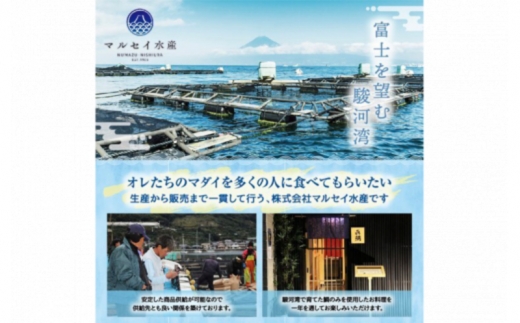 真鯛 煮付け 切り身 4切れ マダイ 鯛 国産 沼津産 湯煎 簡単調理 お手軽 個包装 冷凍 沼津 静岡