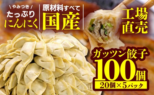 餃子 にんにく 100個 20個 5パック ジューシー 冷凍 食品 小分け ガッツン餃子 松福 国産 豚肉 おつまみ 静岡県 沼津市