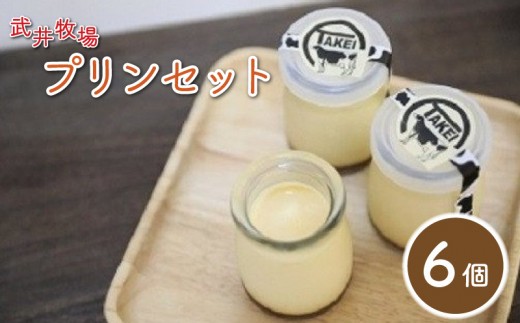 プリン 6個 セット 瓶入り うちだけの味 武井牧場 自家製 牧場 牛乳 洋菓子 ギフト 贈答 お取り寄せ スイーツ お菓子 デザート 静岡県 沼津市 母の日 父の日