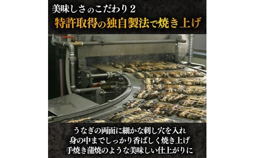 【3カ月定期便】うなぎ 蒲焼 国産 5尾 計約500g以上 静岡 うなぎ処京丸 | 蒲焼き unagi 鰻 ウナギ 国産うなぎ 国産鰻 国産ウナギ かば焼き 鰻蒲焼 うなぎ蒲焼き 冷凍 土用 丑の日