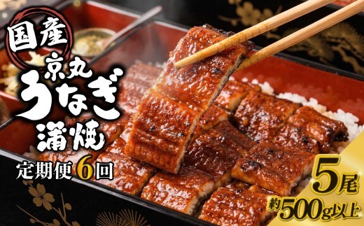 【6ヵ月定期便】うなぎ 蒲焼 国産 5尾 計約500g以上 静岡 うなぎ処京丸  国産うなぎ 蒲焼き うな重 冷凍 土用 丑の日 定期便  個包装 小分け ギフト プレゼント