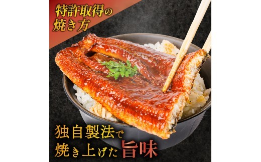 【6ヵ月定期便】うなぎ 蒲焼 国産 5尾 計約500g以上 静岡 うなぎ処京丸  国産うなぎ 蒲焼き うな重 冷凍 土用 丑の日 定期便  個包装 小分け ギフト プレゼント