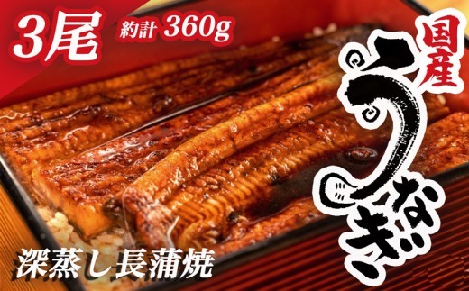 国産 うなぎ 蒲焼  計 3尾 約 120g ~ 130g 漁協 オリジナル 深蒸し たれ付き 冷凍 小分け 我入道 鰻  沼津 静岡 静岡県