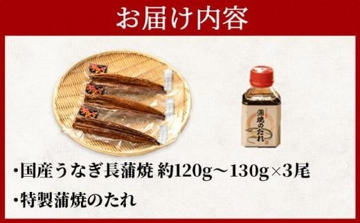 国産 うなぎ 蒲焼  計 3尾 約 120g ~ 130g 漁協 オリジナル 深蒸し たれ付き 冷凍 小分け 我入道 鰻  沼津 静岡 静岡県
