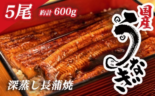 国産 鰻 うなぎ 蒲焼 計 5尾  1尾 約120g~130g 冷凍 小分け 深蒸し たれ付き 漁協  静岡 静岡県