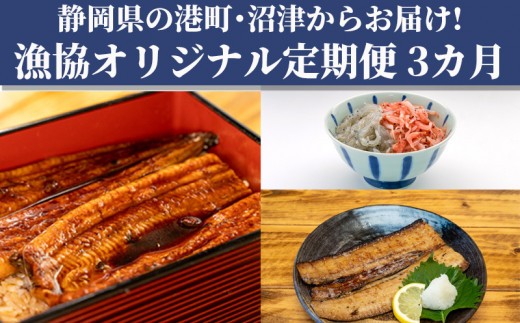【3カ月定期 】オリジナル セット 3種 太刀魚 小分け 醤油干し 桜えび しらす  国産 うなぎ 蒲焼 鰻 干物 漁業協同組合  冷凍  静岡 静岡県