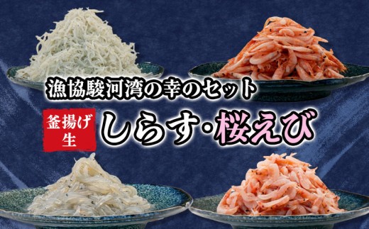【3カ月定期 】オリジナル セット 3種 太刀魚 小分け 醤油干し 桜えび しらす 国産 うなぎ 蒲焼 鰻 干物 漁業協同組合 冷凍 静岡 静岡県
