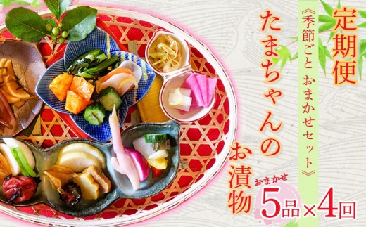 定期便 年4回 野菜 漬物 詰め合わせ 季節野菜 5品 おまかせ沼津 セット 小分け 旬  つけもの 漬け物 漬け もの たくあん 人気 浅漬け お醤油漬け 酢漬け ビール漬け 静岡県