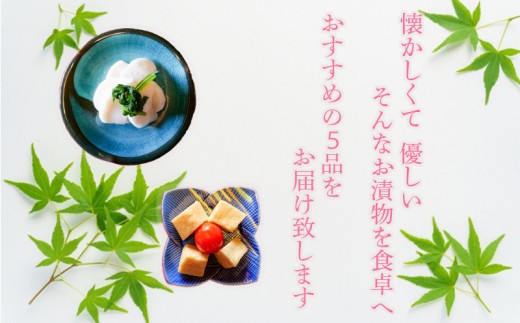 定期便 年4回 野菜 漬物 詰め合わせ 季節野菜 5品 おまかせ沼津 セット 小分け 旬  つけもの 漬け物 漬け もの たくあん 人気 浅漬け お醤油漬け 酢漬け ビール漬け 静岡県