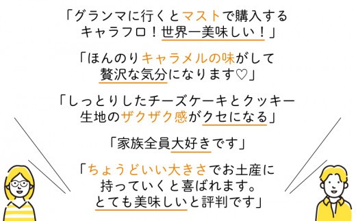定期便 3カ月 チーズケーキ キャラフロ 計12本 6本入り×2箱セット 濃厚 クリーミー チーズケーキ ご褒美 チーズ ケーキ スイーツ デザート おやつ お菓子 ちーずけーき 洋菓子 冷凍 ギフト