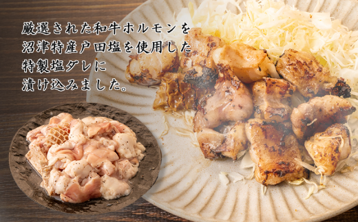 和牛 ミックス ホルモン 戸田 塩ダレ 1.2kg 300g 4パック 焼肉 小分け 古安