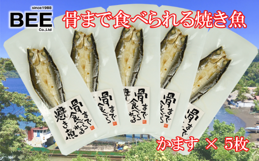 干物 ひもの 骨まで食べられる焼き魚 かます 5袋 個包装 セット 詰め合わせ 惣菜 手軽 レンチン 美味しい 本場 極上 沼津 静岡県 国産