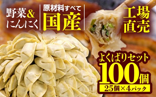 餃子 野菜 にんにく 100個 25個 4パック ジューシー セット ハーフ 冷凍 食品 小分け ガッツン餃子 松福 国産 豚肉 おつまみ 静岡県 沼津市