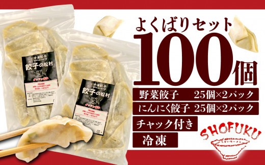 餃子 野菜 にんにく 100個 25個 4パック ジューシー セット ハーフ 冷凍 食品 小分け ガッツン餃子 松福 国産 豚肉 おつまみ 静岡県 沼津市