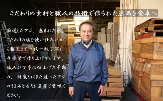 鯵ごのみ セット あじ 詰め合わせ 13枚 干物 ひもの 沼津 かね中冷蔵庫 静岡県 静岡 美味しい