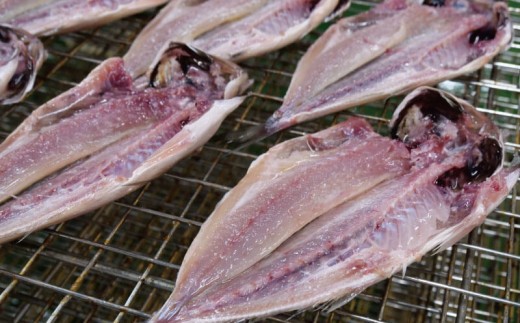 鯵ごのみ セット あじ 詰め合わせ 13枚 干物 ひもの 沼津 かね中冷蔵庫 静岡県 静岡 美味しい