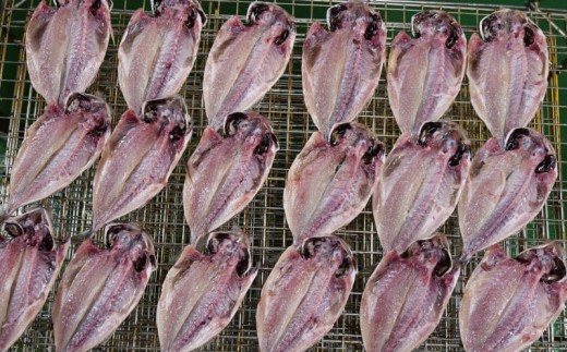 鯵ごのみ セット あじ 詰め合わせ 13枚 干物 ひもの 沼津 かね中冷蔵庫 静岡県 静岡 美味しい