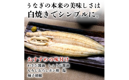 【指定日可能】 国産 うなぎ 白焼  3尾 鰻 冷凍 小分け ギフトボックス 化粧箱 白焼き 老舗 専門店 タレ 付き 山椒 静岡 静岡県 土用 丑の日 指定日可能