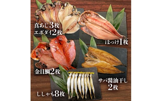 沼津加工 干物 詰め合わせ ひもの 5種 10枚 ししゃも 8匹 真アジ サバ醤油干し サバ 鯖  金目鯛 エボダイ 鯛 ほっけ あじ ホッケ お中元 お歳暮 母の日 父の日 のし対応  静岡 沼津
