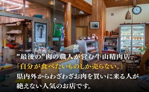定期便 12回 ベーコン スライス ブロック セット 国産 贈答用 ギフト用 牛山精肉店特製