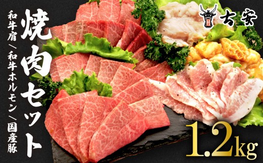焼肉 セット1.2kg 各 300g 和牛 肩肉 ホルモン トントロ 牛 豚 味噌 塩 バーベキュー 古安
