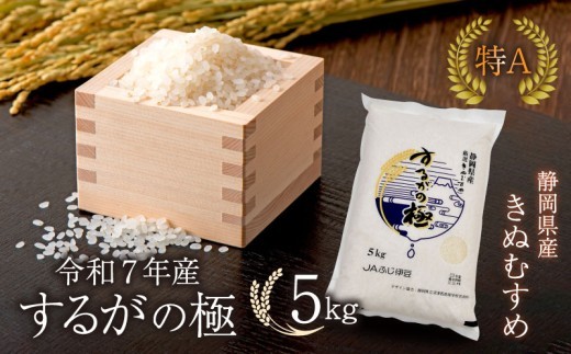 【令和7年産米】 するがの極 5kg 特A 米 こめ お米 白米 精米 JA ブランド米 きぬむすめ 沼津 静岡 静岡県産