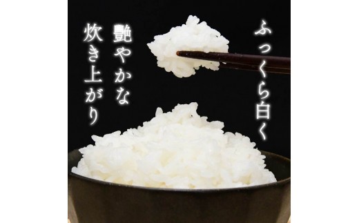 【令和7年産米】 するがの極 5kg 特A 米 こめ お米 白米 精米 JA ブランド米 きぬむすめ 沼津 静岡 静岡県産