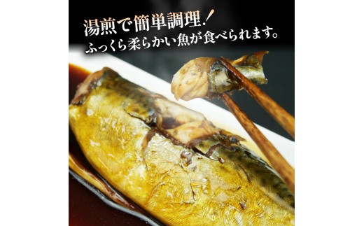 骨ごと 煮魚  3 種 と いか煮肝入り 1 杯 冷凍 橘水産 惣菜 弁当 手軽 煮つけ