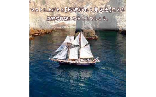 帆船 Ami 号 貸切 クルー 体験 (最大15名様) チケット 沼津 ヨット ツアー 駿河湾