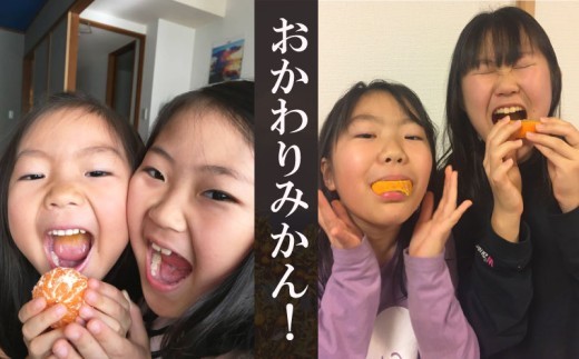 海塩を与えて栽培した由良みかん 予約受付 10月上旬 順次発送 訳あり みかん 由良 計 4kg 傷み補償分 200g 含む 蜜柑 柑橘 オレンジ 果物 フルーツ 沼津市 静岡県