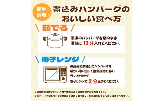 煮込みハンバーグ 3種セット 150g × 3個 デミグラス ハンバーグ トマト サルサ ソース 肉 ハンバーグ 煮込み 冷凍 小分け 個包装 真空パック おかず 簡単調理 はんばーぐ