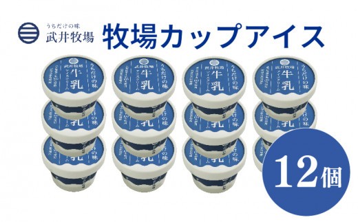 アイスクリーム カップアイス 12個 うちだけの味 武井牧場 自家製 アイス 牧場 牛乳 お土産 プレゼント ギフト 贈答 お取り寄せ スイーツ お菓子 デザート 静岡県 沼津市 母の日 父の日