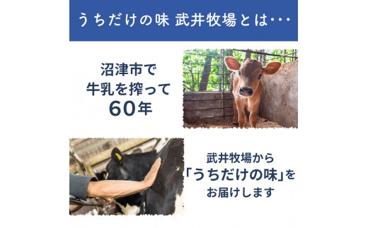 アイスクリーム カップアイス 12個 うちだけの味 武井牧場 自家製 アイス 牧場 牛乳 お土産 プレゼント ギフト 贈答 お取り寄せ スイーツ お菓子 デザート 静岡県 沼津市 母の日 父の日