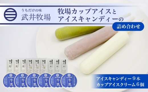 アイスクリーム カップアイス 6個 アイスキャンディー 3種 計9本 セット うちだけの味 武井牧場 自家製 アイス 牧場 牛乳 いちご お茶 キャンディー 食べ比べ ギフト 贈答 お取り寄せ