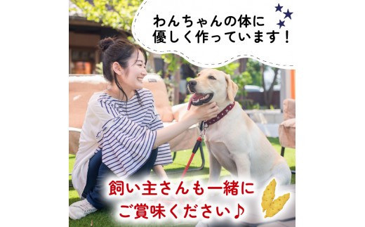 ビスケット 40g×10p 国産 ペットフード おやつ 小分け ペット 犬 いぬ イヌ ドッグ 間食 無添加 米粉 小麦 はちみつ ハチミツ 蜂蜜 あじ 金目鯛 マグロ まぐろ チーズ ご褒美 動物