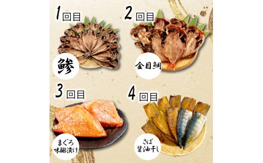 定期便 6回 干物 厳選 セット 2ヶ月に一回お届け ひもの 漬け魚 あじ 金目鯛 キンメ キンメダイ ほっけ ホッケ さば 鯖 マグロ 味醂 まぐろ 鮪 カジキ 西京漬け  詰め合わせ 静岡県 沼津