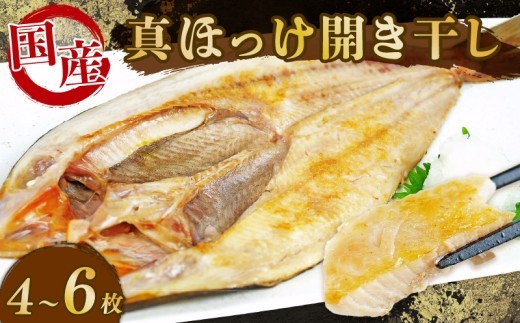 干物 6種