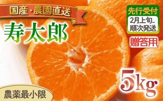 寿太郎 みかん 約 5kg