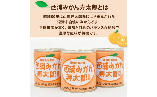 西浦 みかん 寿太郎 缶詰 12缶 缶 かんづめ 寿太郎みかん 蜜柑 フルーツ フルーツ缶詰 常温保存 保存食 非常用 非常食 防災 備蓄食 食品 ギフト 贈答 国産 静岡 沼津 ランキング 人気 美